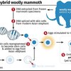 じじぃの「ゲノム編集・もうすぐマンモスの復活が実現する？雑学に強くなる本」