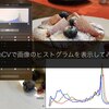 OpenCVで画像のヒストグラムを表示してみる話