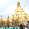 ミャンマー旅行 世界三大仏教遺跡バガン遺跡 ツアー参加