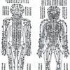 経絡の流れを把握しやすくしてくれる十二経絡中を気が流れる様子がうかがえる映像、中医学等に興味アリの方は必見！