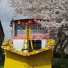 能登中島駅ラッセル車と桜