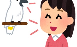 記事を見る