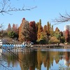 井の頭恩賜公園（東京都武蔵野市・三鷹市）