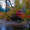 京都・槇尾 - 清滝川と指月橋