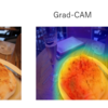 【CNN+Grad-CAM】仕組みの解説と画像の予測根拠可視化