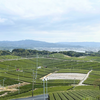 無限に広がる茶畑の圧巻な風景八女中央大茶園