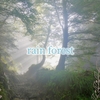 【オリジナルBGM】rain forest