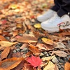 紅葉狩りと新そば