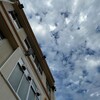 諸事情により一日中ぐだぐだしていた