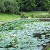 川村記念美術館の庭園　有料に