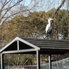 水月公園