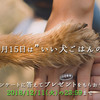 【アンケートに答えて素敵なプレゼントを！】 2018年”11月15日”は「いい犬ごはんの日」キャンペーン