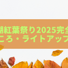 もみじ湖紅葉祭り2025完全ガイド｜見どころ・ライトアップ・熱気球体験まとめ