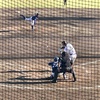 【野球観戦】練習試合・オーストラリア代表ーエイジェック＠府中市民球場【20241103】
