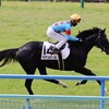 モデュロール、新潟へ。