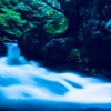 英語で名言を 神は算数を解く ガウス Tsuputon S Blog