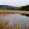 野依新池（大分県中津）