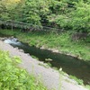 5月14日(水)秩父フライフィールドの河川情報