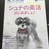 犬友