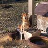 ブログ 休んでばかりですが