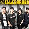 ELLEGARDEN復活！！待ってたぜぇぇ！！