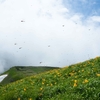 鳥海山ー残雪と花の季節ー