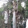 お正月3日目　大好きな神社へ初詣に出かけてきました。