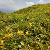 夏は登山！赤兎山に登ってきました　後半