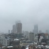 雪が降ったよ