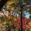 珍獣を見に行こう！「新春の生活禅WS」