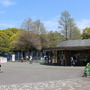 長居公園は手軽な外出場所として最適！その理由とは？