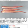 中島みゆき「泣きたい夜」の「ひな魚」とは