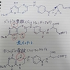 合成葉酸と天然葉酸の違いについて