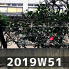 週報 2019W51