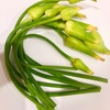 ニンニクの芽に花のつぼみ！これ食べられる？
