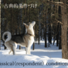 古典的条件づけ（classical conditioning）①