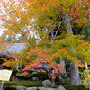 ようやく実現　〜紅葉の鶏足寺〜