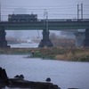 寒雨の朝