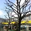 西ヶ丘幼稚園