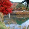 もみじ湖