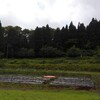 梅雨の合間の