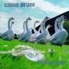 goosefair/CHINA DRUM(CD)