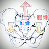 仙骨変位は上下垂直から前後にねじり等々バリエーション豊かなのです