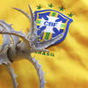 ブラジリアンゴエリンギー|Dyckia goehringii Brazilian clone ( White Form )