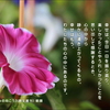 こころの道しるべ（278）心の中に