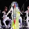  Björk 「Vulnicura Strings」
