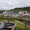 土岐市でわんこイベント、その後バーベキュー。