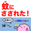 『蚊にさされたって英語でどう言うの？』