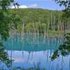 【iPhoneの壁紙】北海道美瑛町『白金青い池』（夏）に行ってみた感想