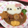 28年3月 キティカレー